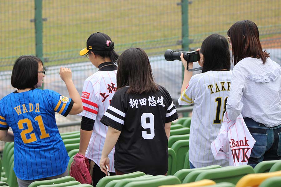 球場には、NPBチームのユニフォームを着たファンが多く詰めかけている【写真：広尾晃】