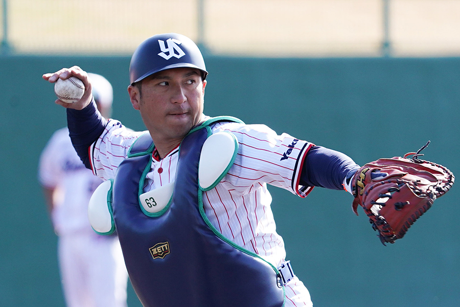 ヤクルト・井野卓【写真：荒川祐史】