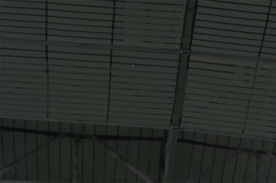 巨人・岡本のパワーに球場どよめき　天井直撃打にファン驚愕「弾道エグい」