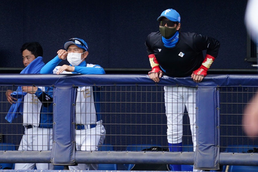 ベンチから身を乗り出して指示を送る日本ハム・新庄剛志監督（右）【写真：荒川祐史】