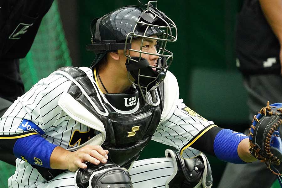 阪神・梅野隆太郎【写真：荒川祐史】