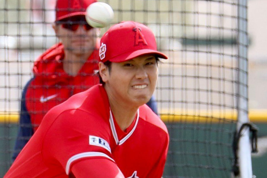 エンゼルス・大谷翔平【写真：小谷真弥】