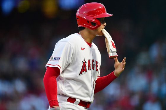 大谷翔平 2018年 本拠地での初先発 初勝利試合 チケット ギフトモール 