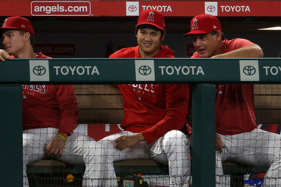 ベンチから試合を見つめるエンゼルス・大谷翔平【写真：ロイター】