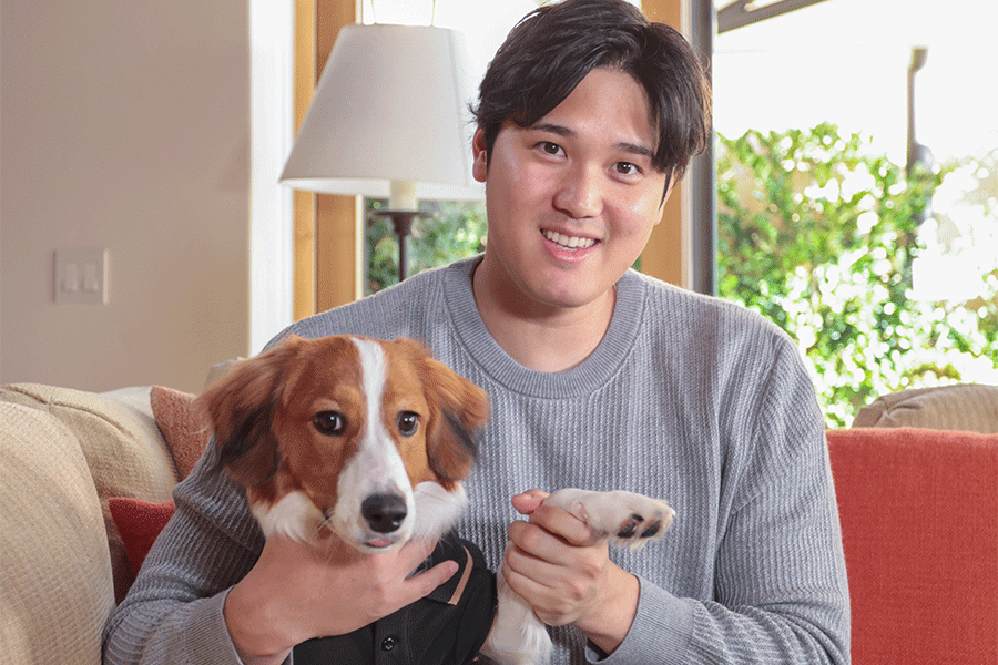 ドジャース・大谷翔平と愛犬の「デコピン」【写真：Getty Images】