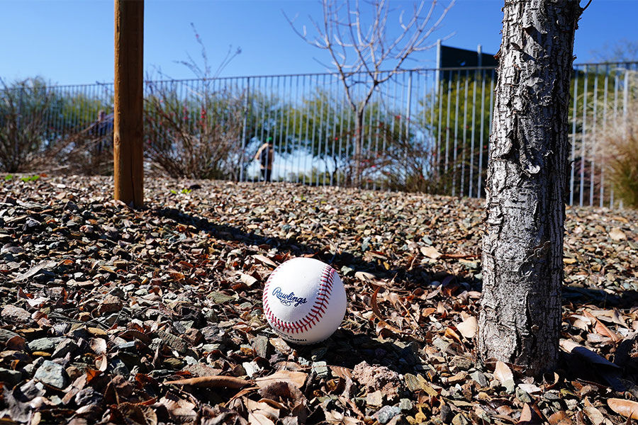 ドジャース・大谷翔平が打撃練習で飛ばした実際のボール【写真：荒川祐史】