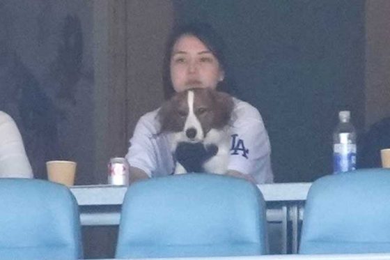 大谷翔平の本拠地デビューでデコピンがVIP待遇　真美子夫人と観戦…入場パスも受け取る