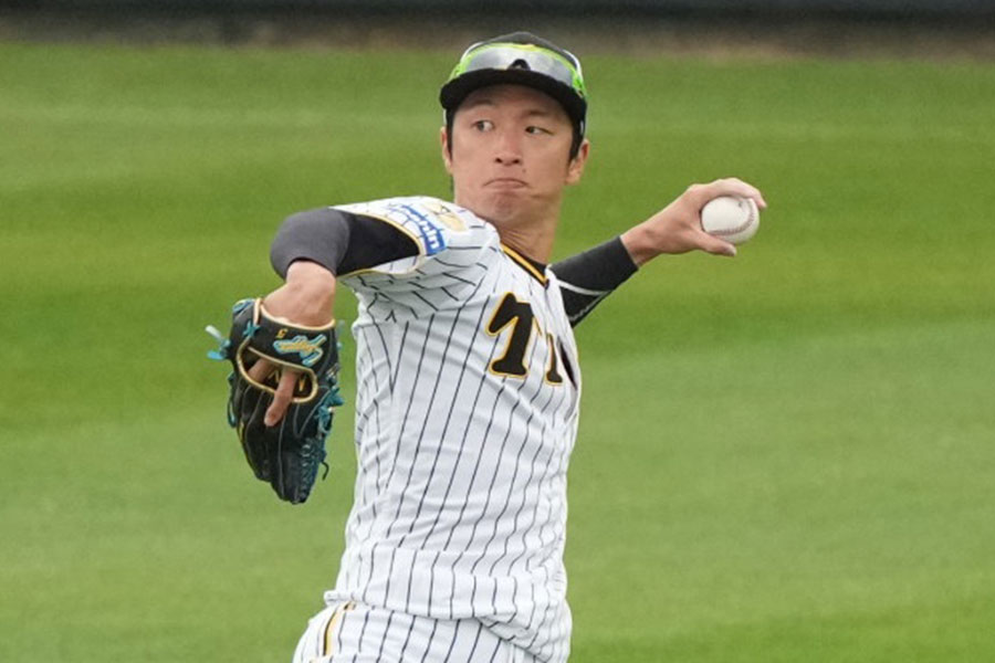 阪神・近本光司【写真：小林靖】