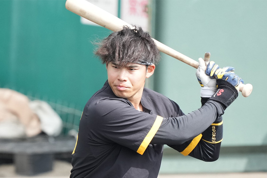 阪神・遠藤成【写真：小林靖】