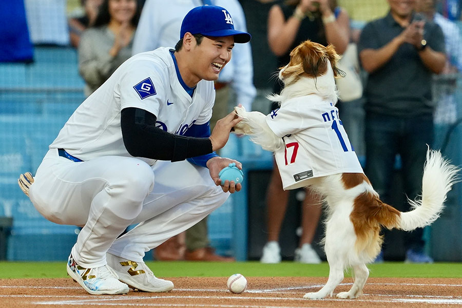 始球式に登場したドジャース・大谷翔平（左）と愛犬デコピン【写真：松本洸】