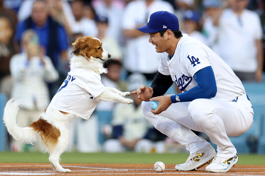 始球式に登場したドジャース・大谷翔平（右）と愛犬デコピン【写真：Getty Images】