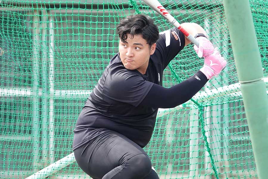 自主トレでフリー打撃を行う佐々木麟太郎【写真:小谷真弥】