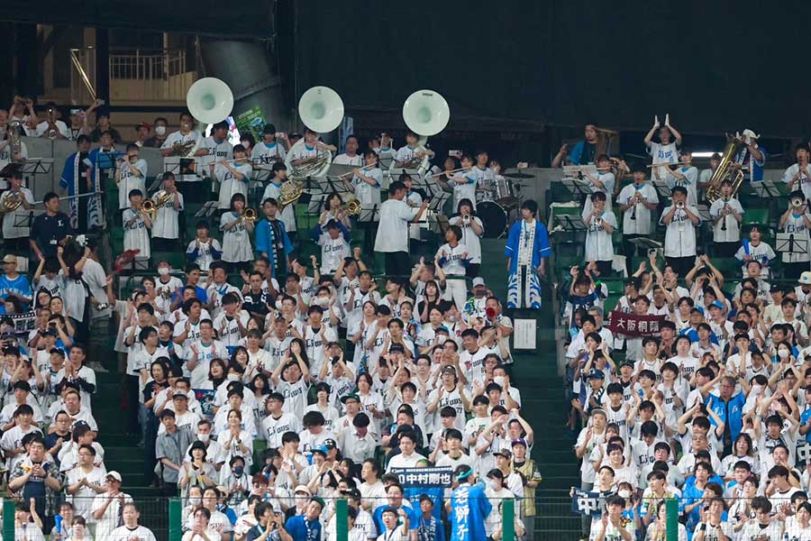 シーズンを通して熱い声援を送った西武ファン【写真：小池義弘】