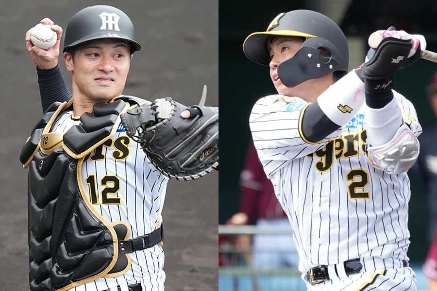 阪神・坂本誠志郎（左）と梅野隆太郎【写真：小林靖】