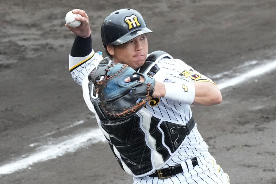 阪神・梅野隆太郎【写真：小林靖】