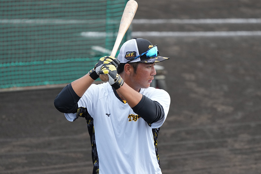 阪神・井坪陽生【写真：小林靖】