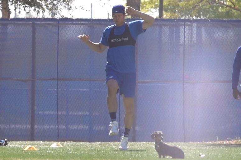 ドジャース・大谷翔平【写真：小谷真弥】