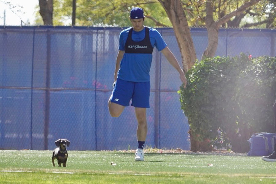 大谷翔平の自主トレに迷い込んだ犬（左）とドジャース・大谷翔平【写真：小谷真弥】