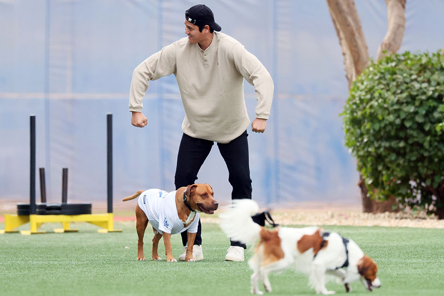 自主トレ施設で犬と“交流”するドジャース・大谷翔平【写真提供：産経新聞社】