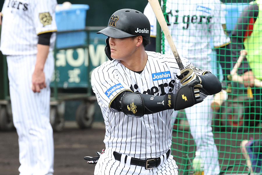 阪神・前川右京【写真：栗木一考】