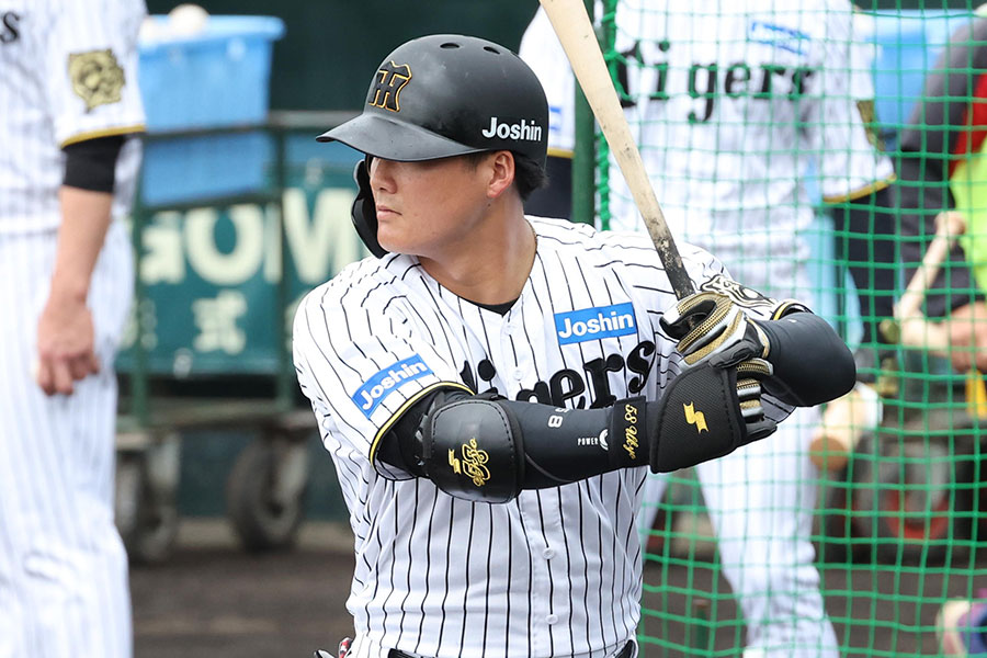 阪神・前川右京【写真：栗木一考】