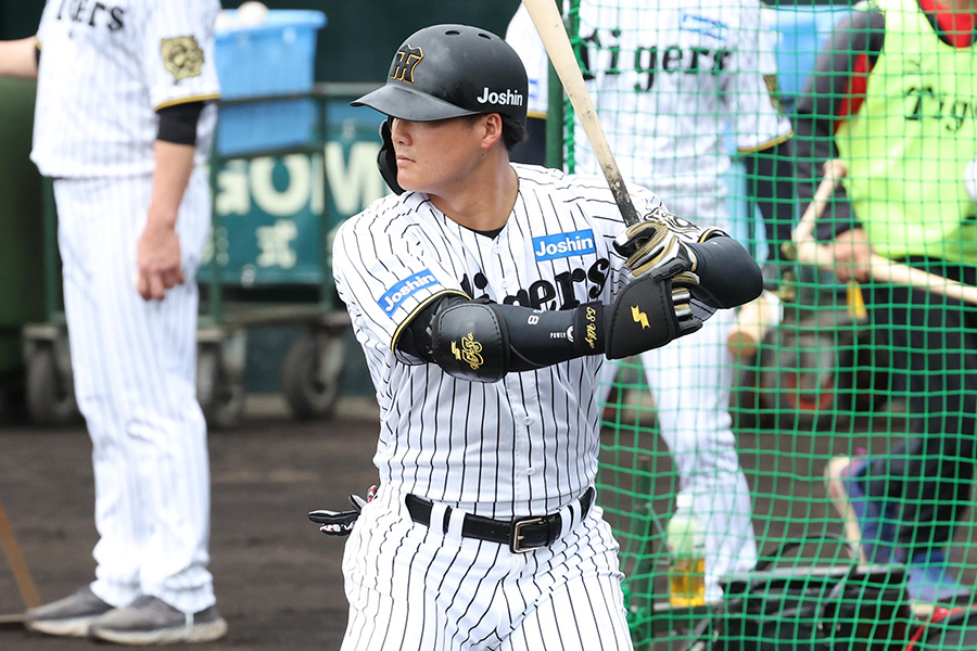 阪神・前川右京【写真：小林靖】