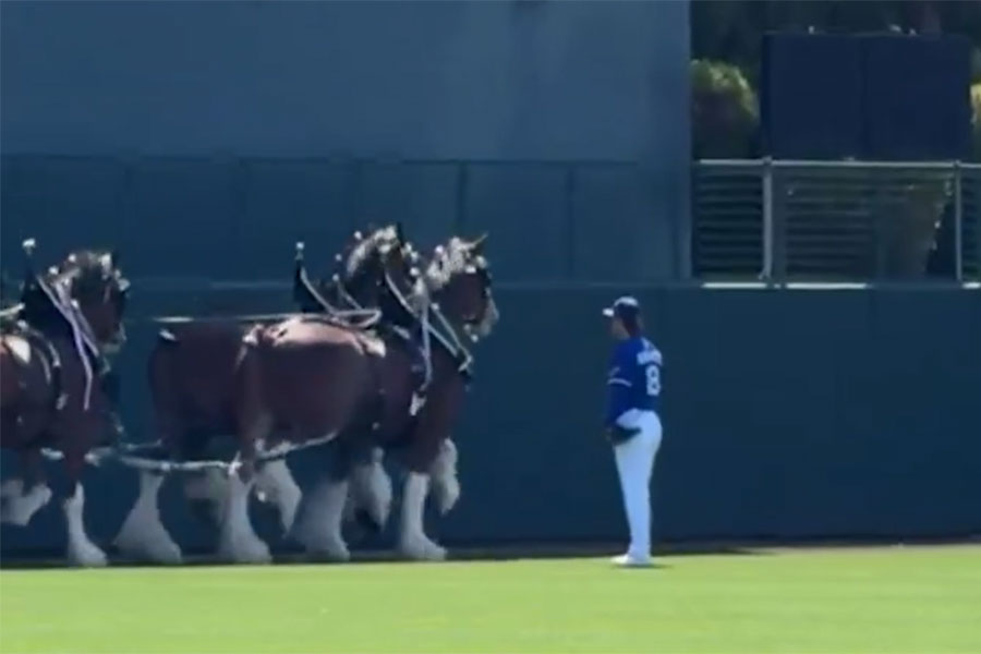 目の前を通る馬を見つめるドジャース・山本由伸（写真MLB公式Xのスクリーンショット）