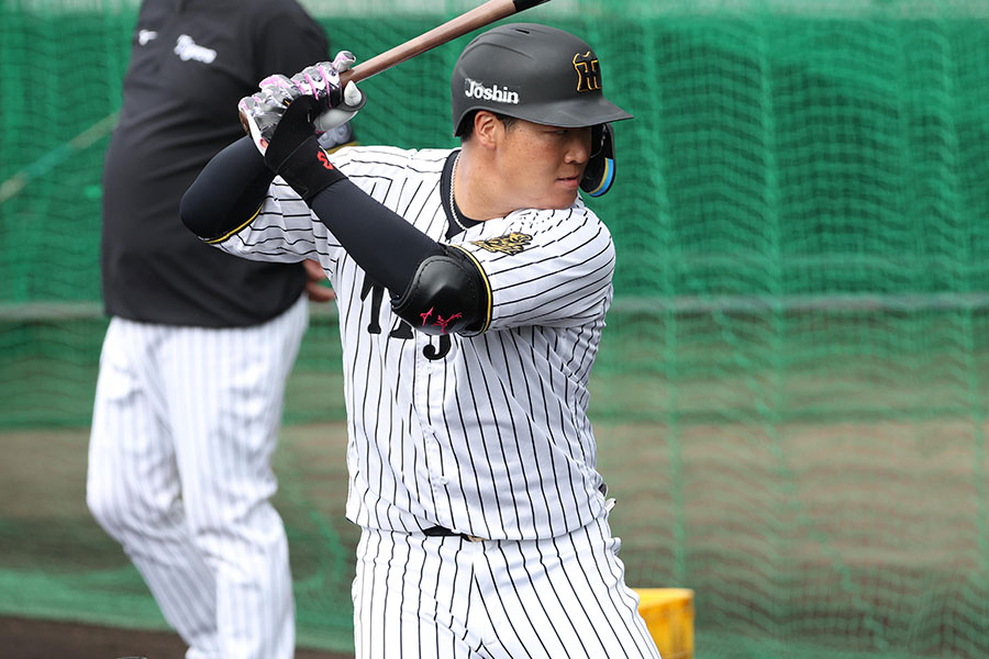 阪神・大山悠輔【写真：栗木一考】