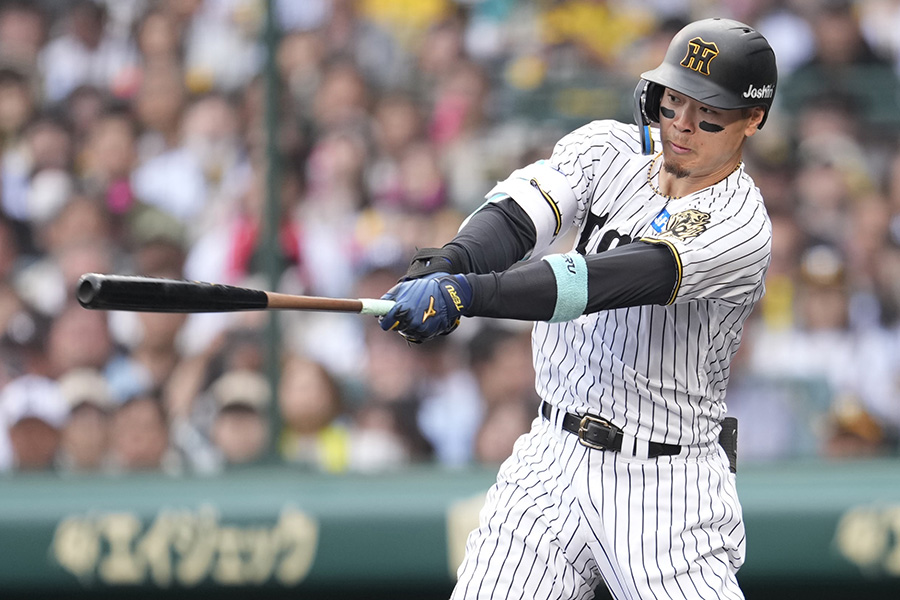 中日戦に出場した阪神・佐藤輝明【写真提供：産経新聞社】