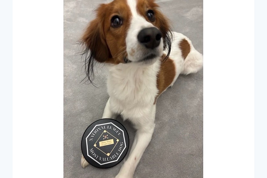 ドジャース・大谷翔平が投稿した愛犬デコピン（写真はスクリーンショット）