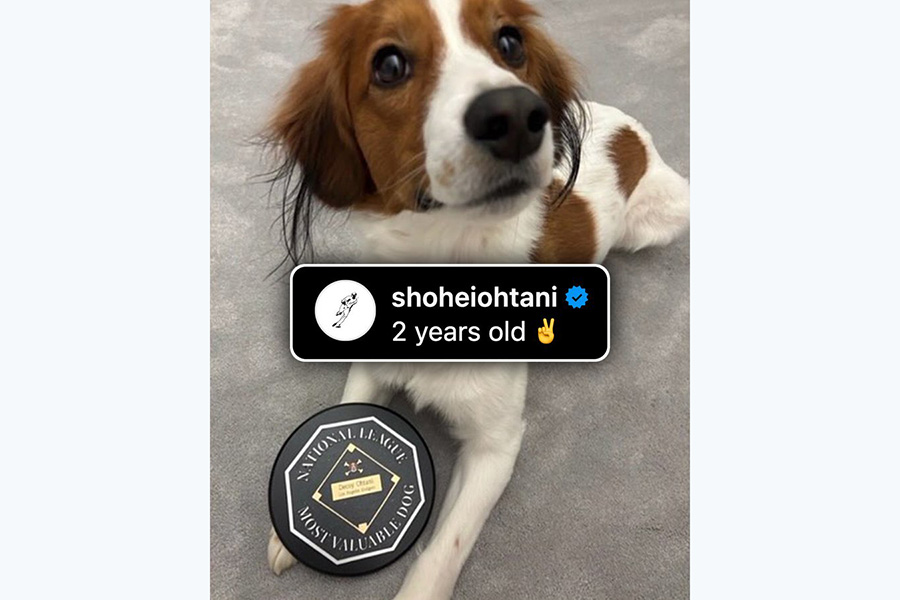 MLB公式が投稿した大谷翔平の愛犬デコピン（写真はスクリーンショット）