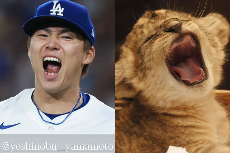 大谷翔平がストーリーズに投稿した“由伸イジリ”(写真はスクリーンショット)