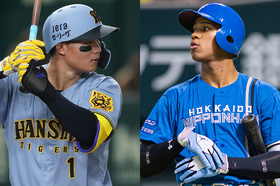 阪神・森下翔太（左）と日本ハム・万波中正 【写真：矢口亨、古川剛伊】