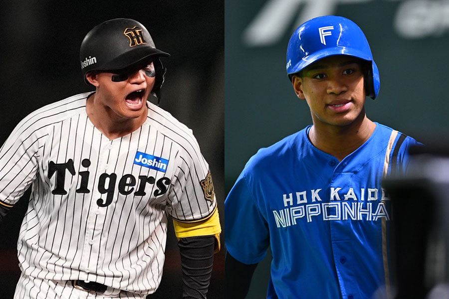 阪神・森下翔太（左）と日本ハム・万波中正【写真：小林靖、古川剛伊】