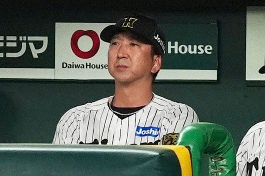 阪神・藤川球児監督【写真：小林靖】