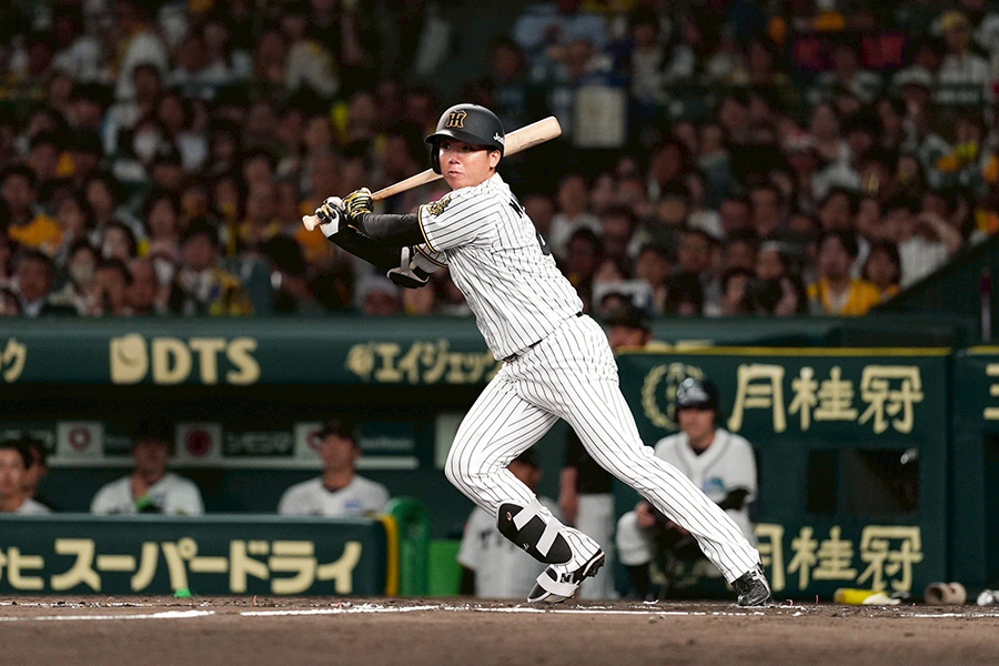 阪神・村上頌樹【写真：小林靖】
