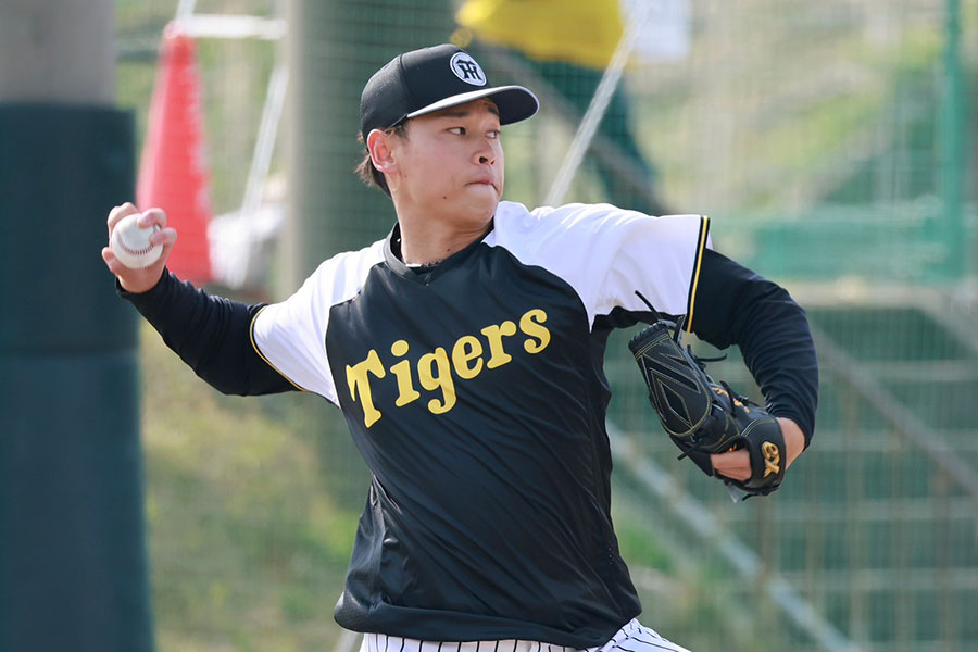 阪神・早川太貴【写真：小池義弘】