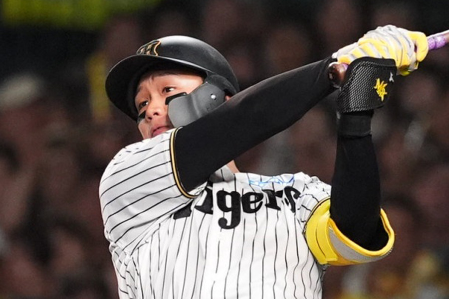 阪神・森下翔太【写真：小林靖】