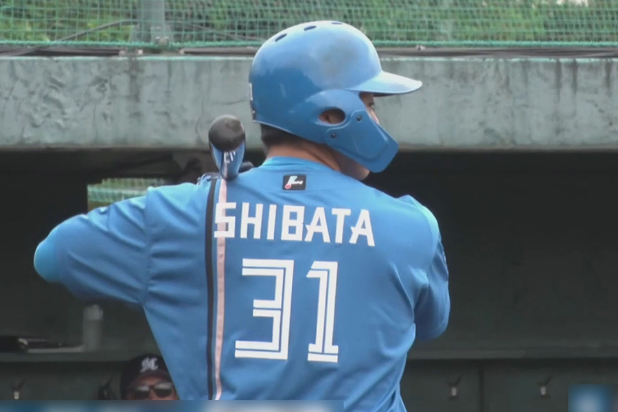 ロッテ戦に出場した日本ハム・柴田獅子【画像：パーソル パ・リーグTV】
