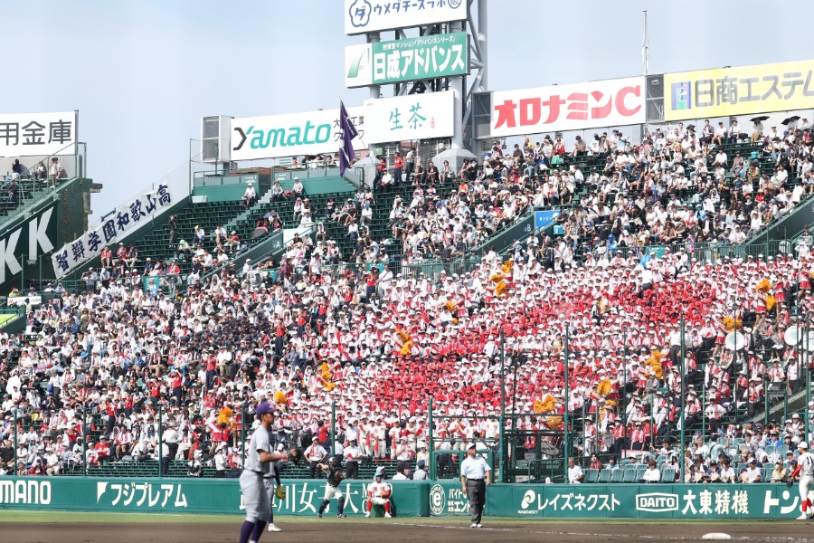 人で埋め尽くされた智弁和歌山のアルプススタンド【写真：加治屋友輝】