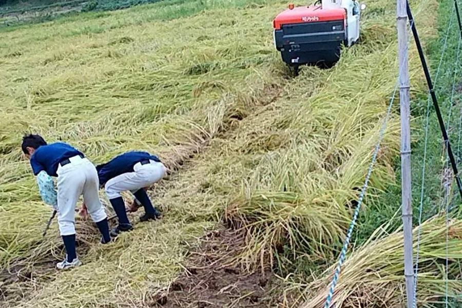 小学校低学年の頃、兄の朝陽さん（手前）と一緒に農作業を手伝う菰田陽生【写真提供：母・理恵さん】
