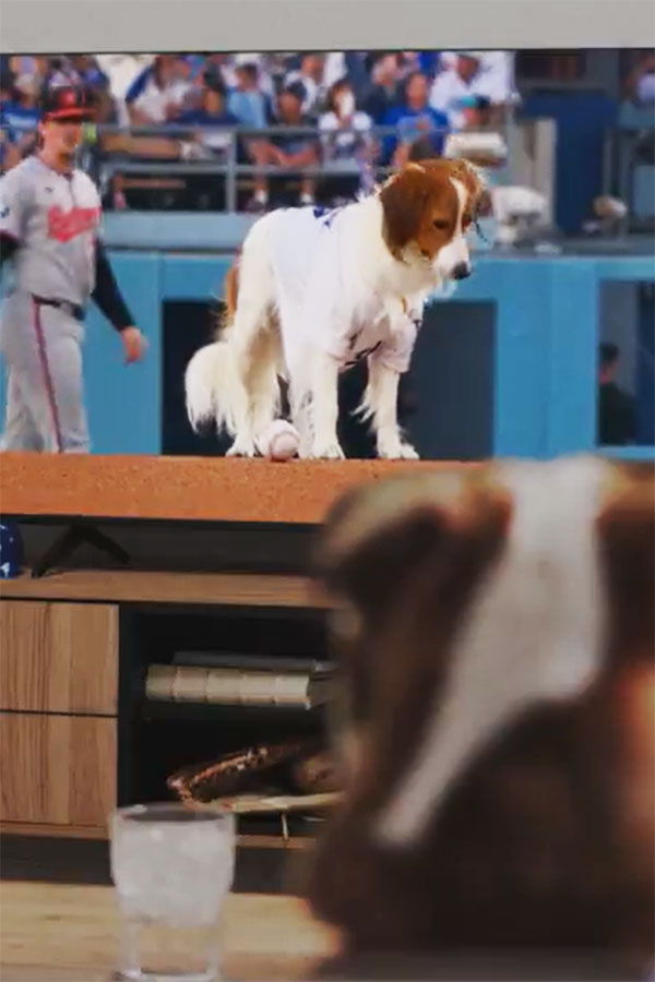 MLB公式が公開した新CM（画像はスクリーンショット）