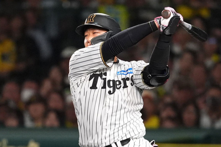 阪神・大山悠輔【写真：小林靖】