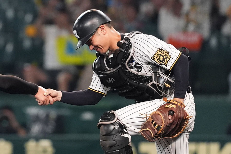 阪神・坂本誠志郎【写真：小林靖】