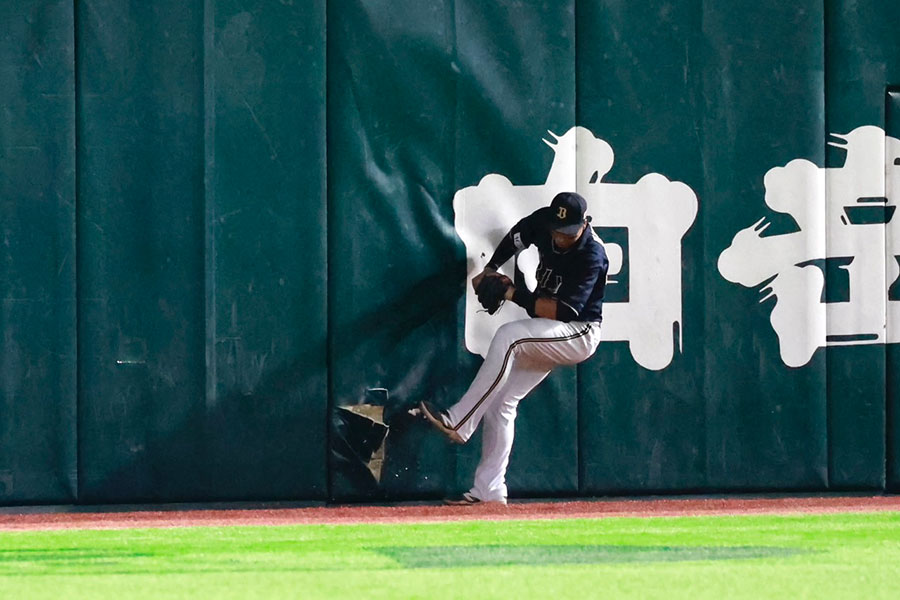 外野フェンスが破ける珍事が発生【写真：小池義弘】