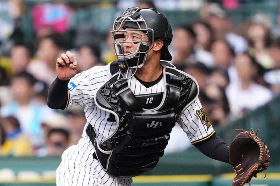 阪神・坂本誠志郎【写真:小林靖】