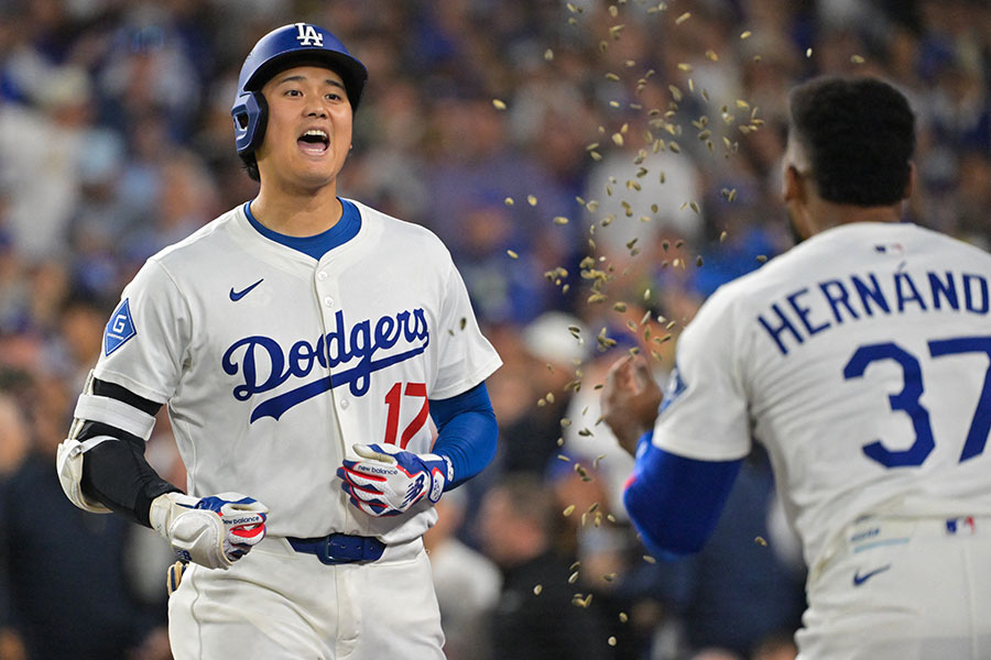 ラスト1枚‼️大谷翔平ファイターズ時代シーズンシート半券チケット ラスト1枚‼️大谷翔平ファイターズ時代シーズンシート半券