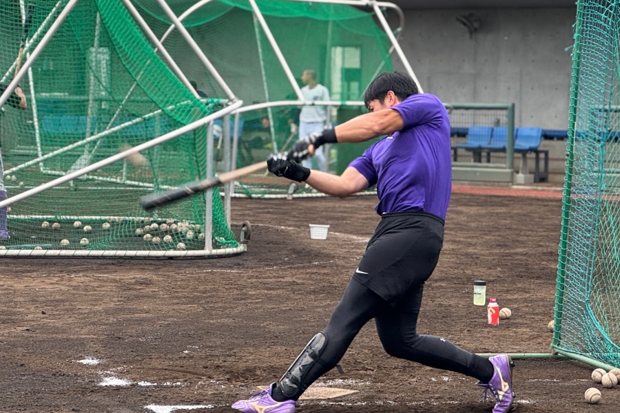 バッティング練習を行う網谷圭将【写真：佐藤直子】