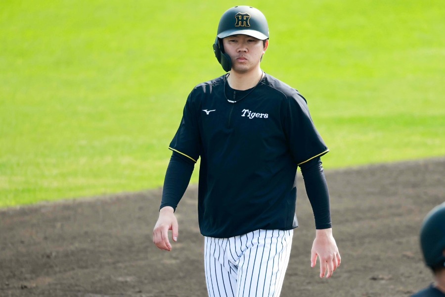 阪神・楠本泰史【写真:小池義弘】