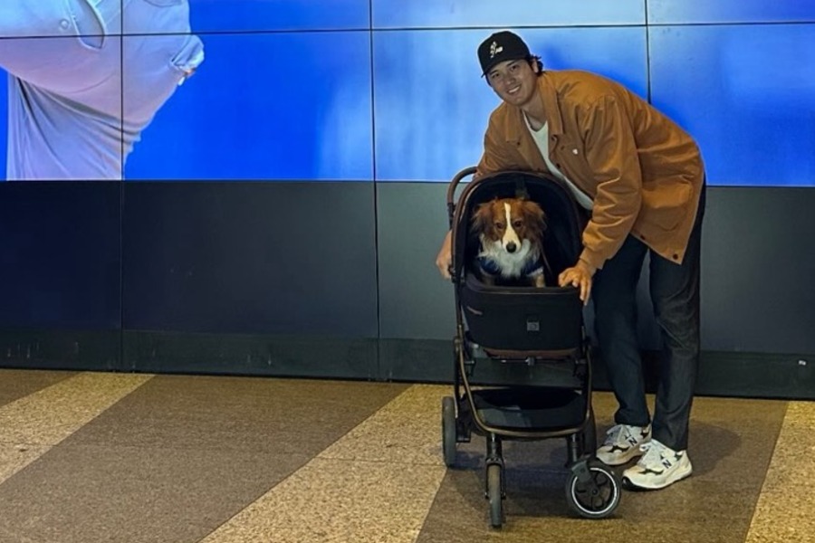 プロフ必見さん TAVO ペットカート デコピン愛用　大谷翔平 プロフ必見さん TAVO ペットカート デコピン愛用 大谷翔平 プロフ必見